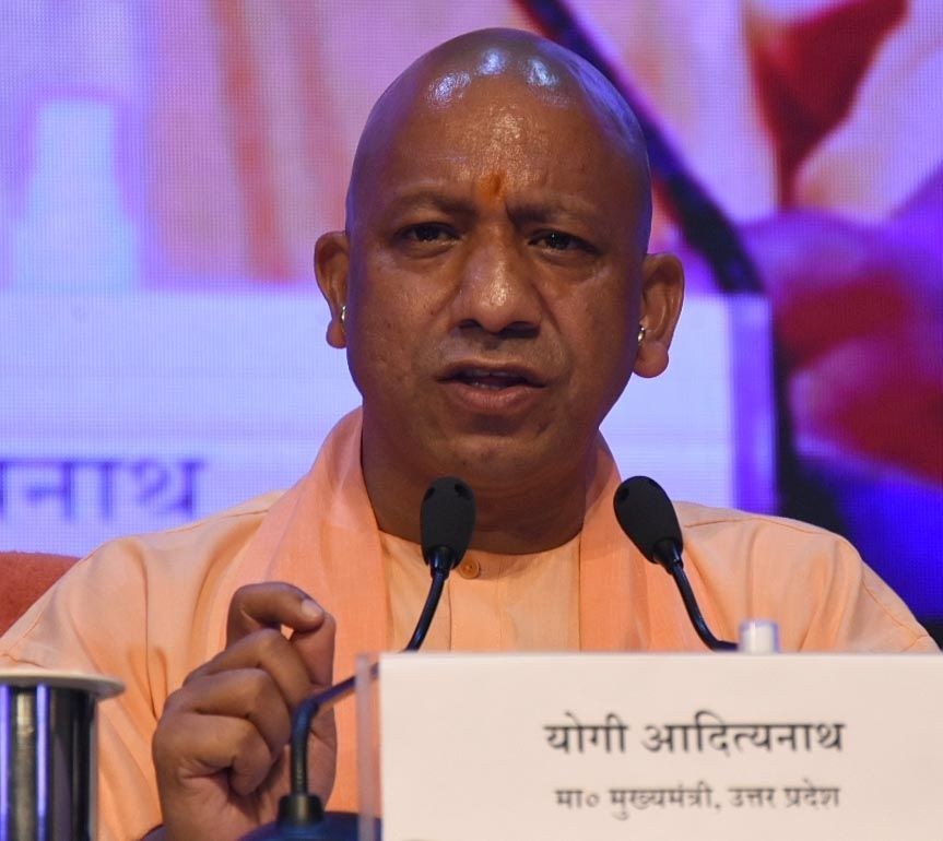 yogi