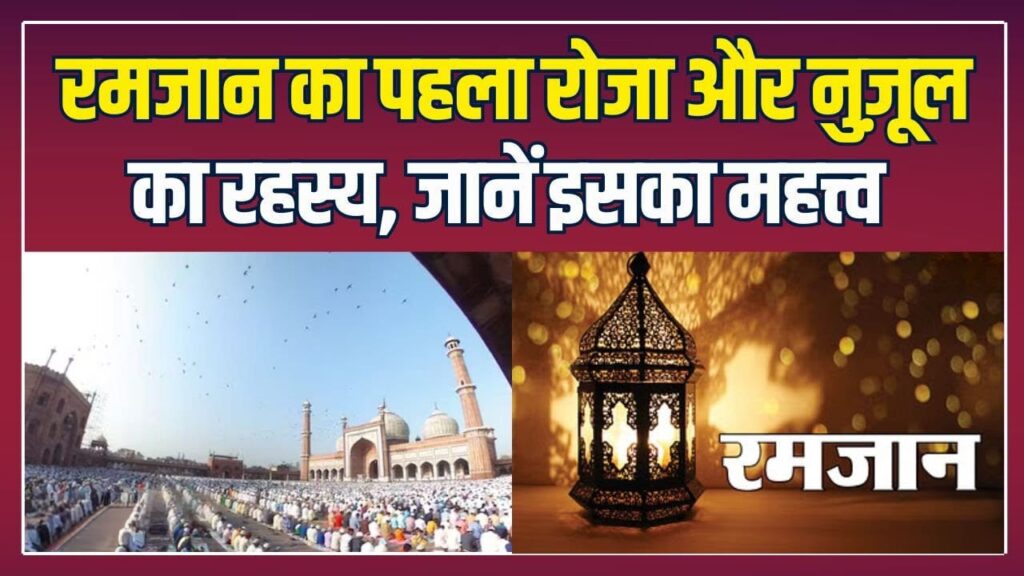 WhatsApp Image 2025-03-19 at 11.01.02 PM