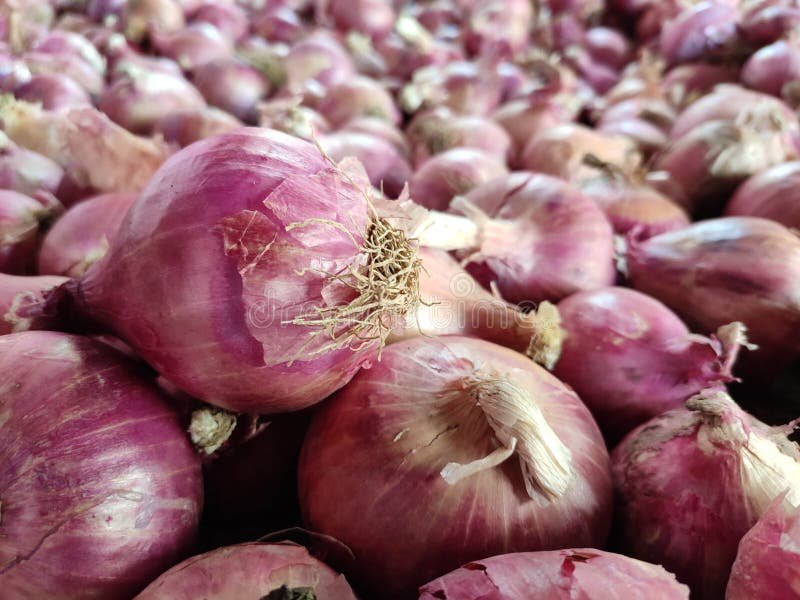 group-onion-market-close-up-look-223156550